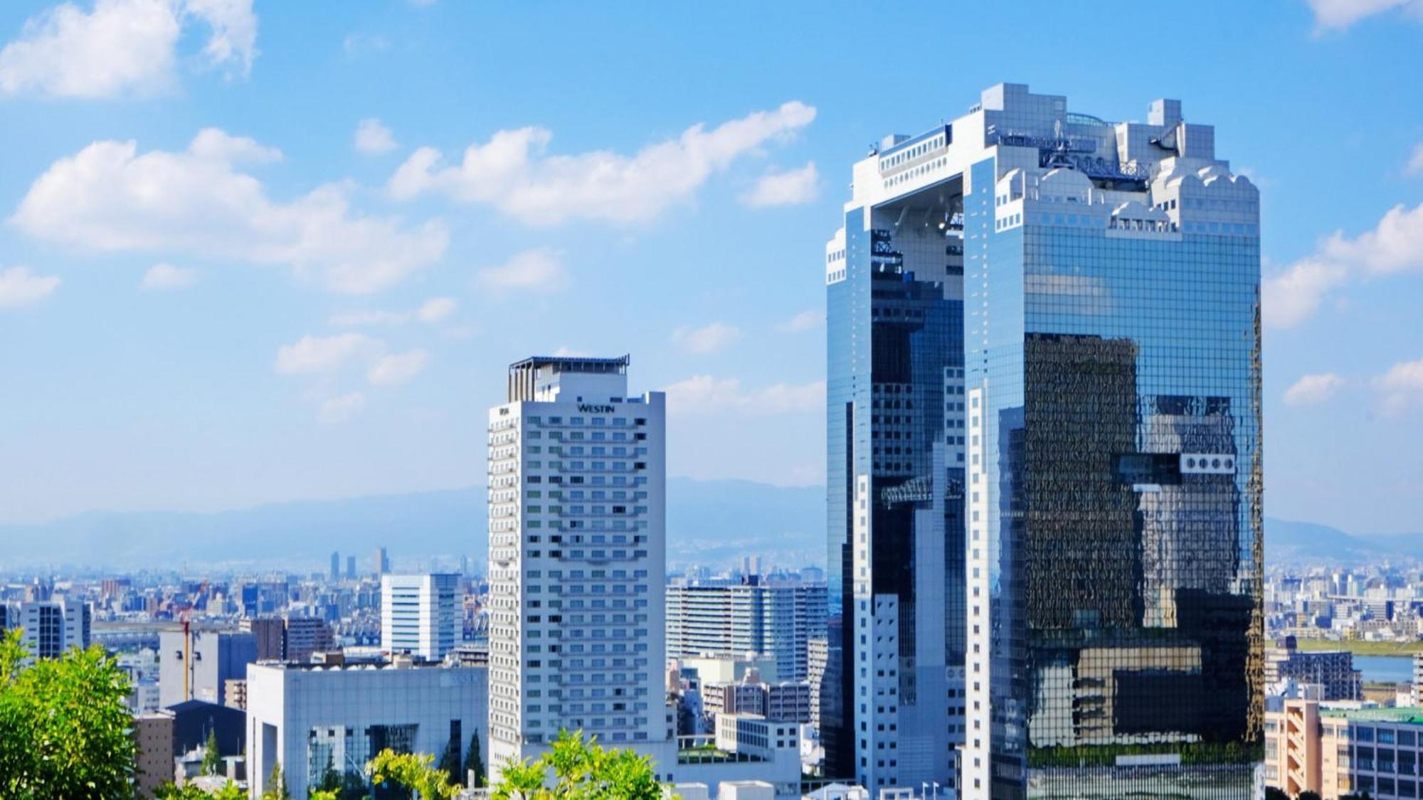 Toyoko Inn Shin-Osaka-eki Higashi-guchi Exterior foto